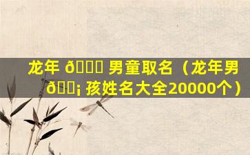 龙年 🐈 男童取名（龙年男 🐡 孩姓名大全20000个）